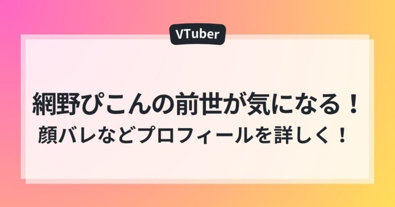 網野ぴこん　前世 年齢 ママ　顔バレ